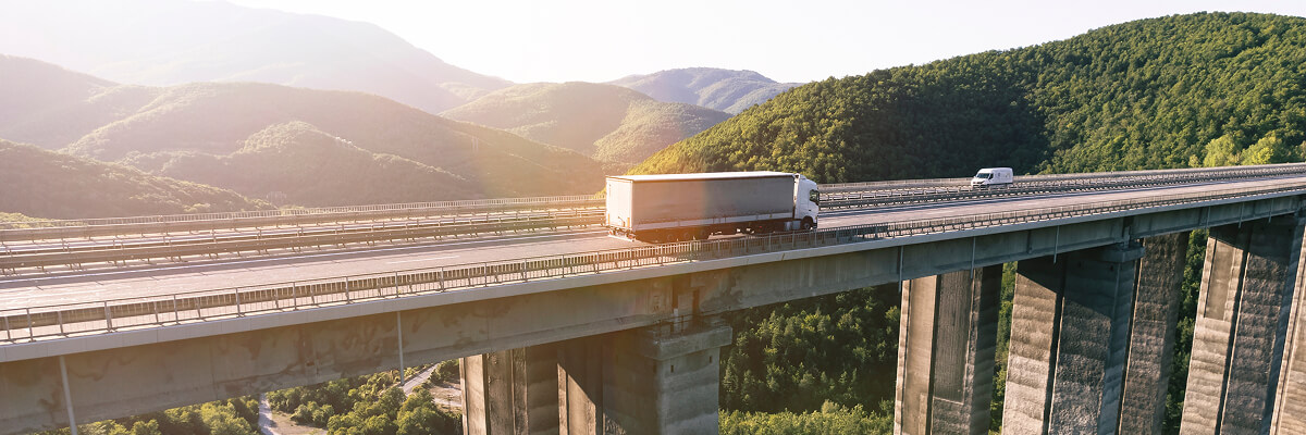 Bridge over valley landscape